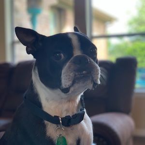 Meet your Posher, Brandi